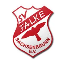 Falke Sachsenbrunn