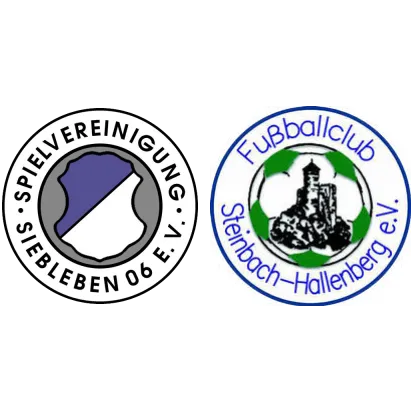 (1M) SpVgg Siebleben 06 <span class="nowrap bold mx-1">6 : 2</span> FC Steinbach-H.