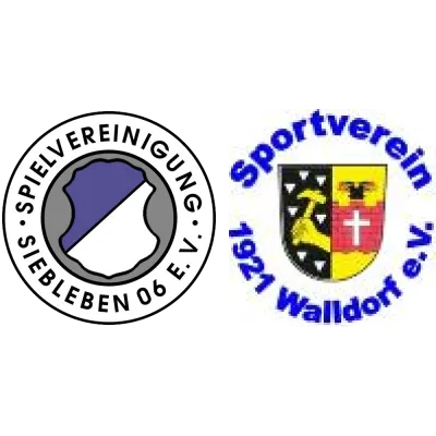 (1M) SpVgg Siebleben 06 <span class="nowrap bold mx-1">4 : 2</span> SV 1921 Walldorf
