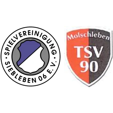 (3M) SG SpVgg Siebleben 06 III <span class="nowrap bold mx-1">5 : 2</span> TSV 90 Molschleben