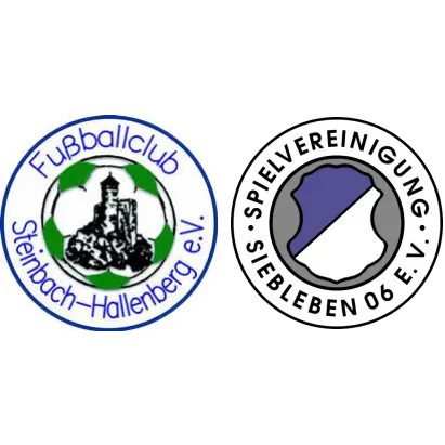 (1M) FC Steinbach-H. <span class="nowrap bold mx-1">4 : 1</span> SpVgg Siebleben 06