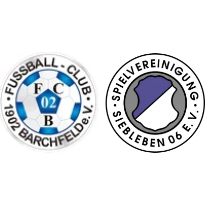 (1M) FC 02 Barchfeld <span class="nowrap bold mx-1">1 : 0</span> SpVgg Siebleben 06