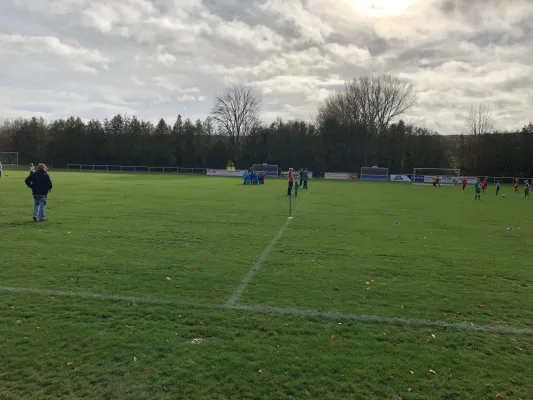 Fair-Play-Turnier F-Junioren in Siebleben